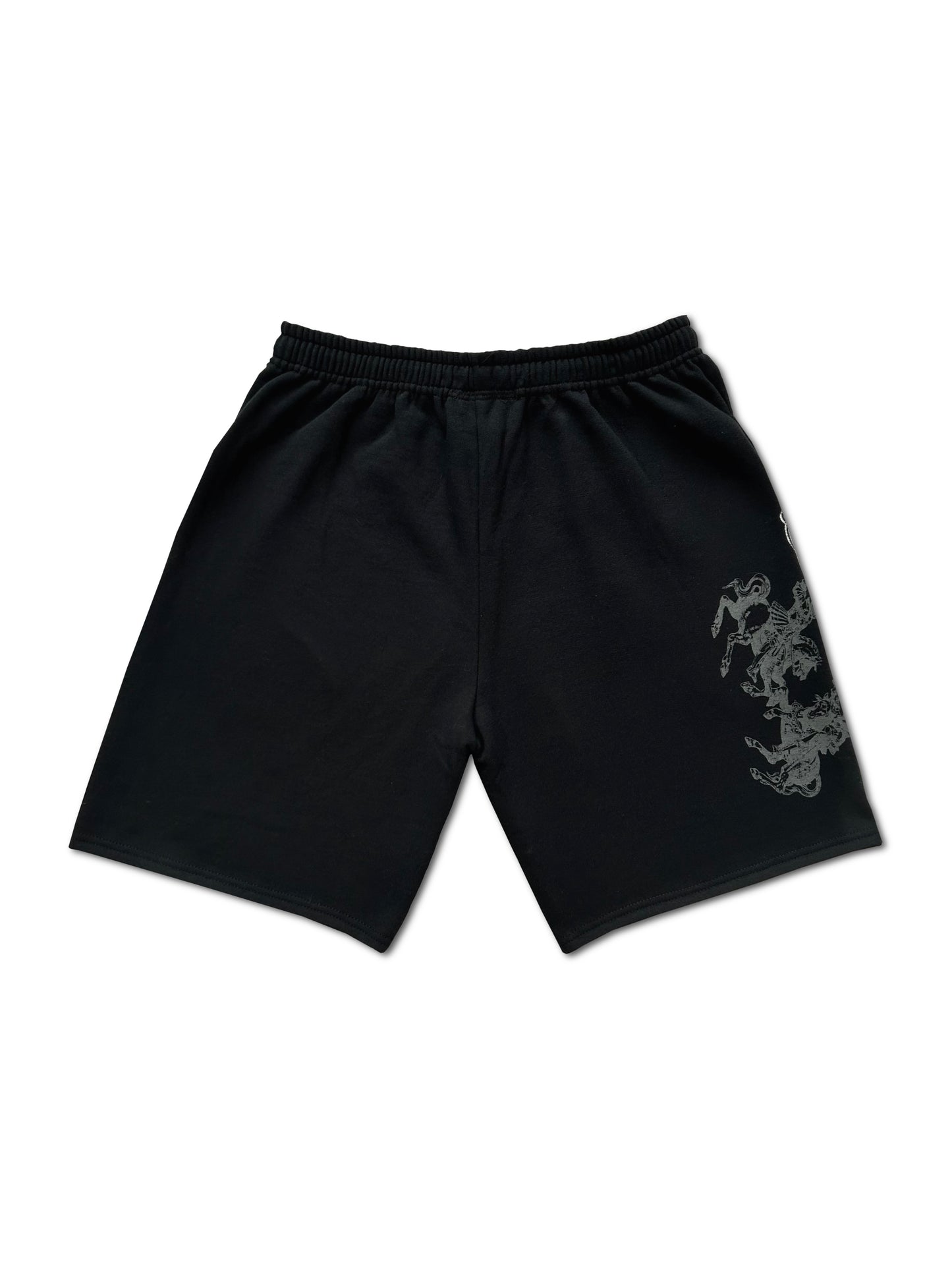 South Sport Shorts
